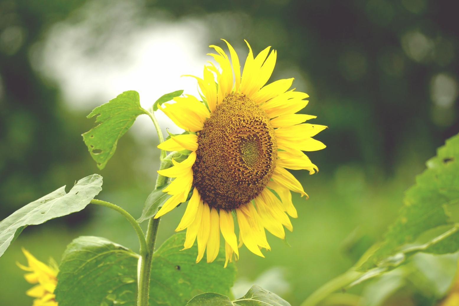 Students working on advanced floral arrangements during practical assessment session